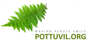 pottuvil